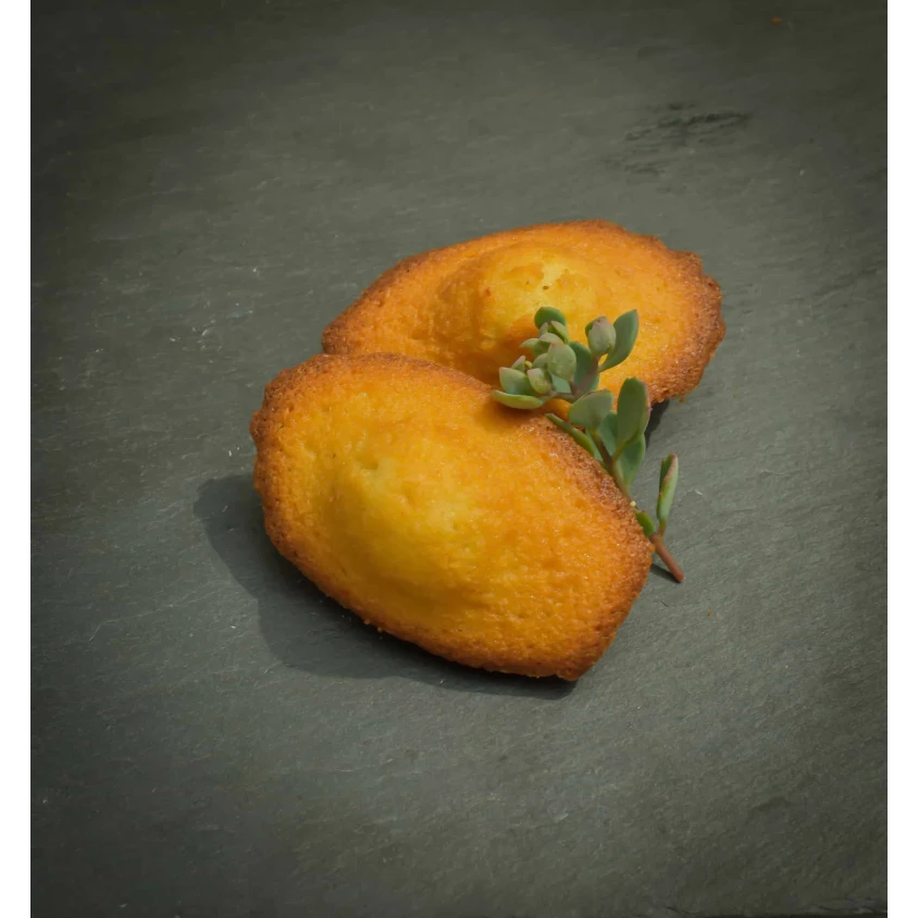 Madeleines maison (sachet de 6)