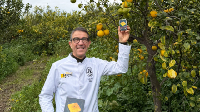 De la Calabre à Nancy : aux origines de la Bergamote