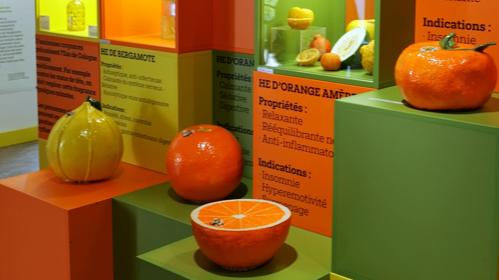 Une exposition pour tout savoir sur la bergamote de Nancy