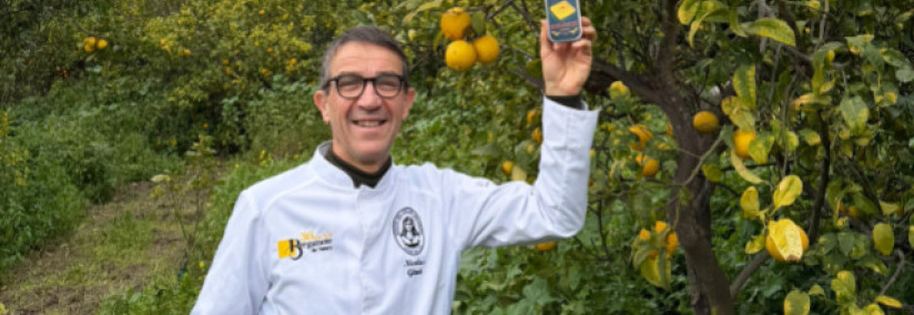 De la Calabre à Nancy : aux origines de la Bergamote